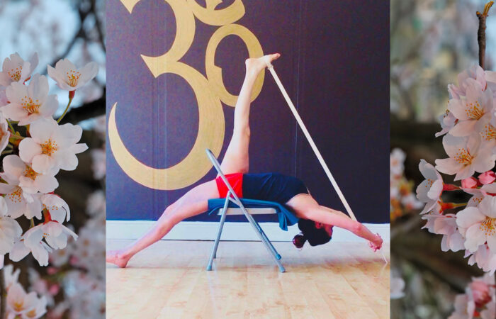 Corso di Formazione Insegnanti Yoga con la Sedia